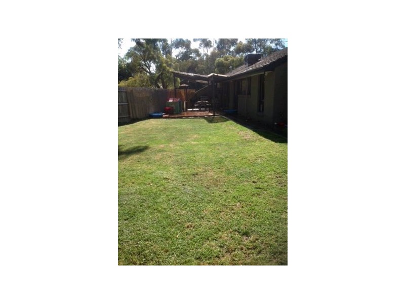 17 St Boswells Ave, Berwick VIC 3806