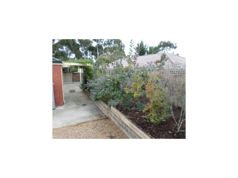 50 Coowarra Way, Berwick VIC 3806