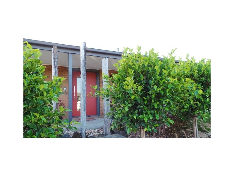 10 Nandina Road, Narre Warren VIC 3805