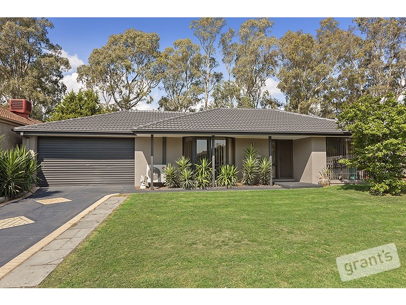 45 St Boswells Avenue, Berwick VIC 3806