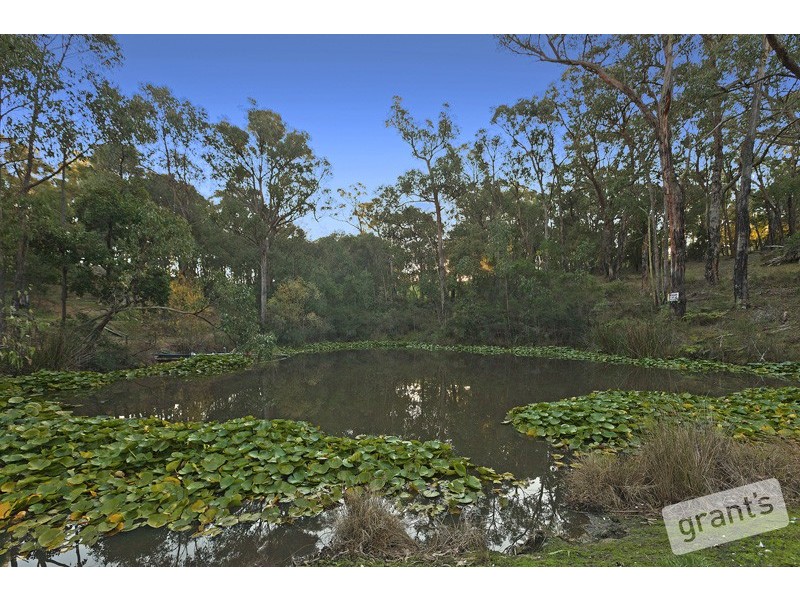 15 Hilden Drive, Harkaway VIC 3806