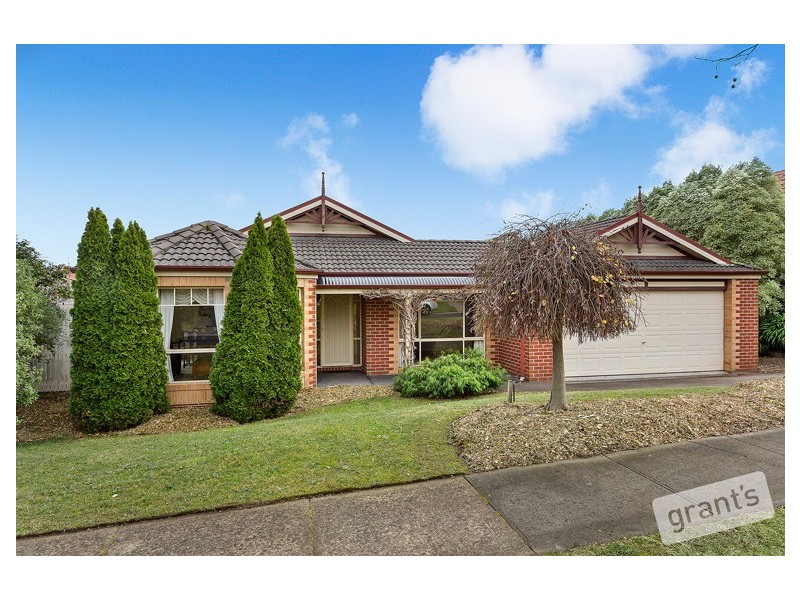 6 Hillandale Rise, Berwick VIC 3806