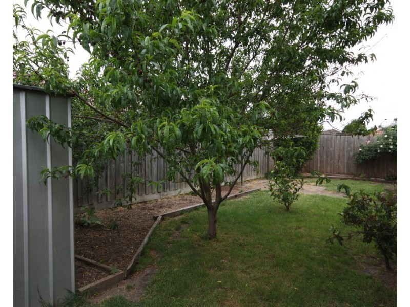 8 Margarita Cl, Berwick VIC 3806