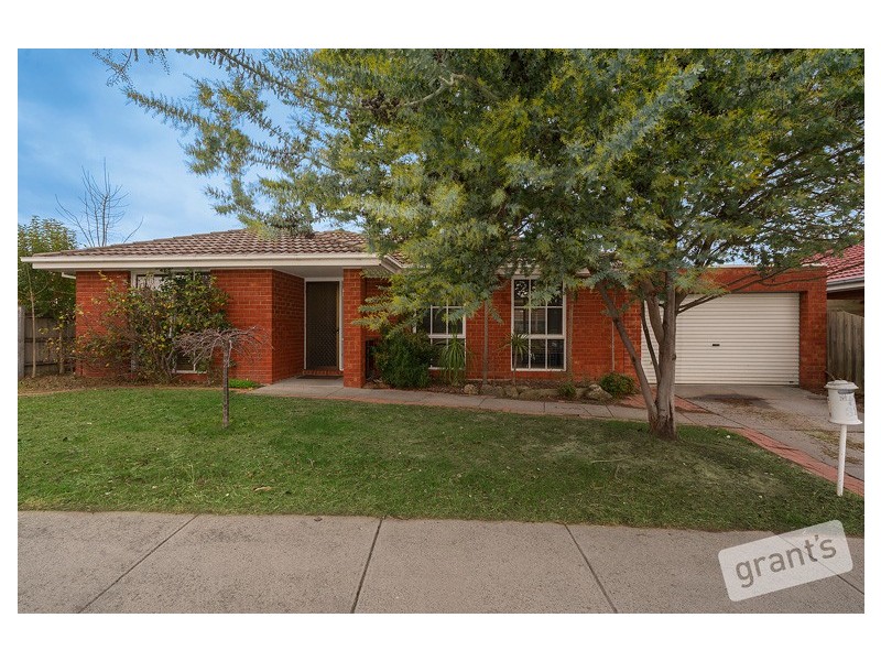 31 Tarcoola Drive, Narre Warren VIC 3805
