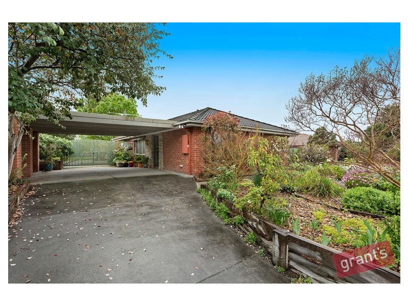 20 Cardamon Drive, Hallam VIC 3803