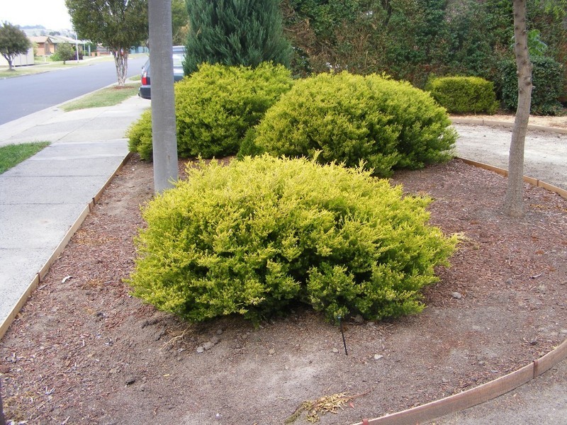 88 Prospect Hill Road, Narre Warren VIC 3805