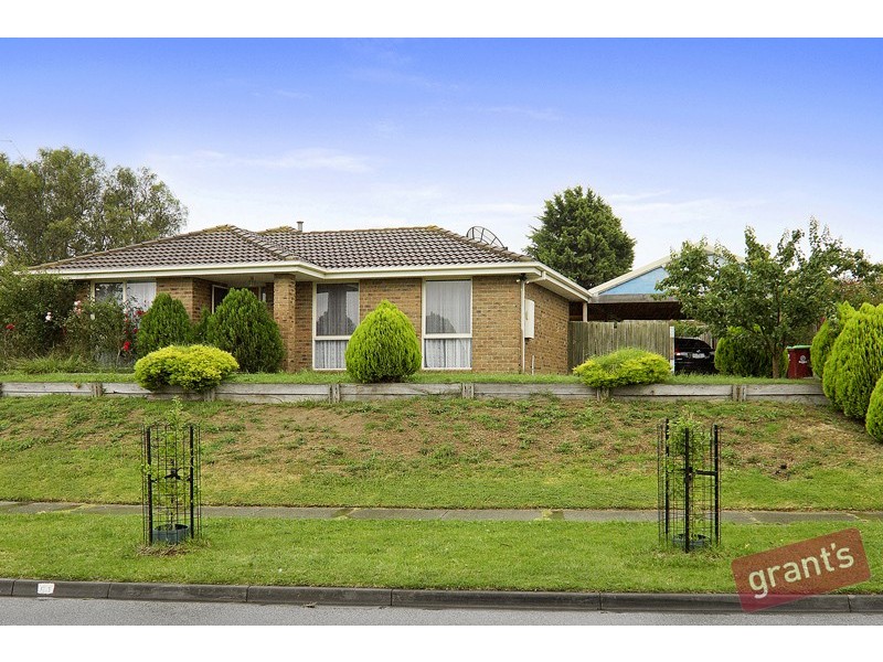 51 Nettle Drive, Hallam VIC 3803