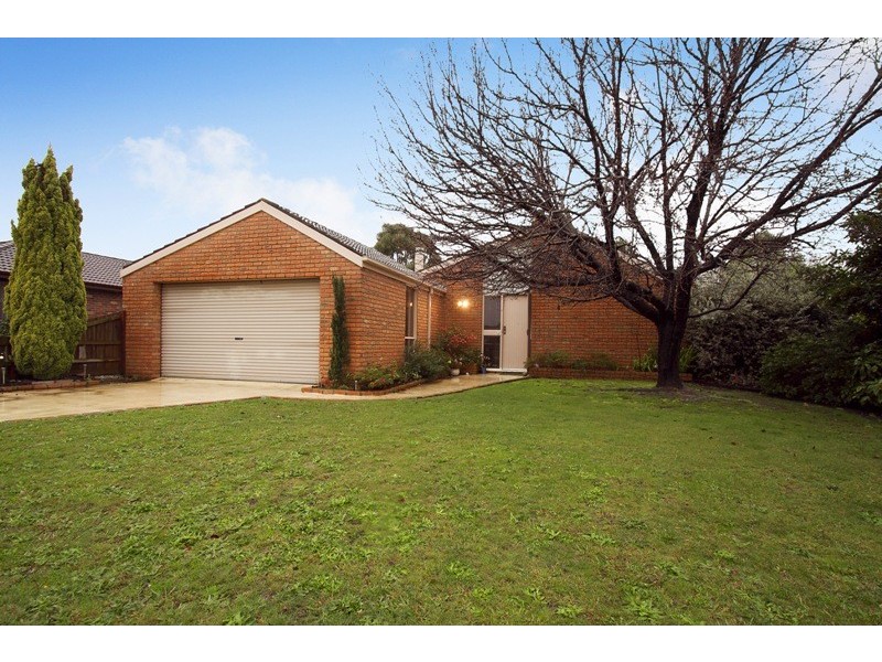 20 Anaconda Road, Narre Warren VIC 3805