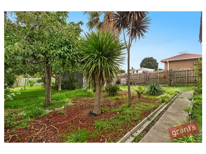 39 Alexander Street, Hallam VIC 3803