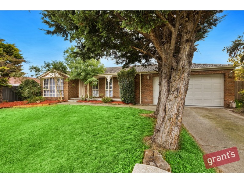 13 Hyssop Drive, Hallam VIC 3803