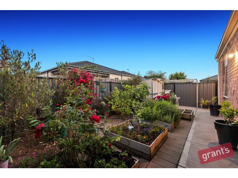 137 Selandra Boulevard, Clyde North VIC 3978