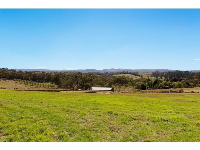 56 Edebohls Road, Narre Warren East VIC 3804