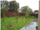 19 Elstar Rd, Narre Warren VIC 3805