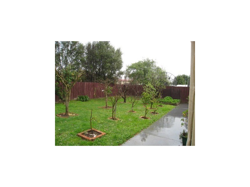19 Elstar Rd, Narre Warren VIC 3805