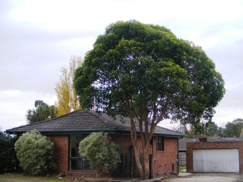 62 Saxonwood Drive, Narre Warren VIC 3805