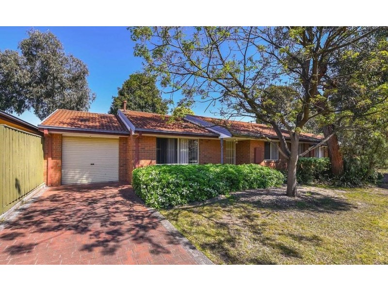 12 Enfield Place, Forest Hill VIC 3131