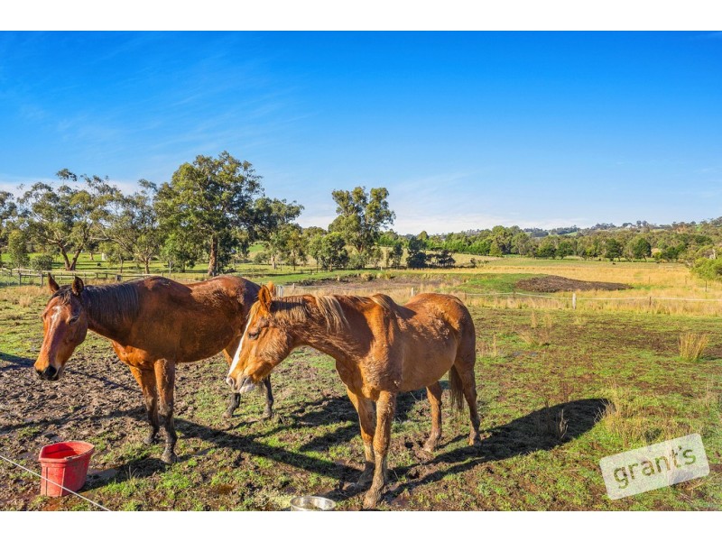 4 Mountain Flat Road, Narre Warren East VIC 3804