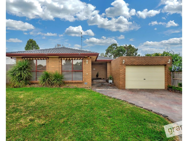 16 Anaconda Road, Narre Warren VIC 3805