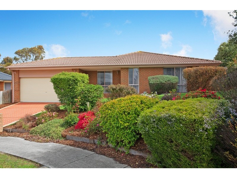 19 Cottswold Avenue, Narre Warren VIC 3805