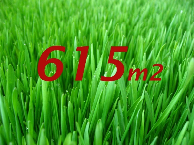 Lot 938 Donohue Street, Cranbourne East VIC 3977