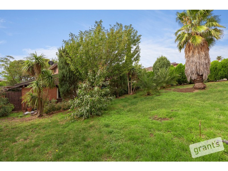 8 Johnson Place, Endeavour Hills VIC 3802