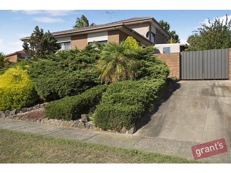 16 Springfield Drive, Narre Warren VIC 3805