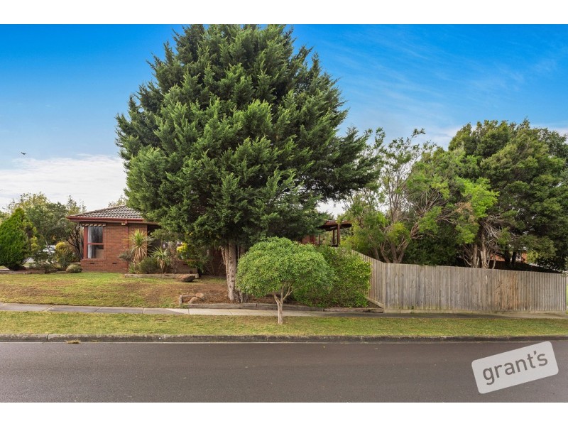 8 Barondi Avenue, Narre Warren VIC 3805