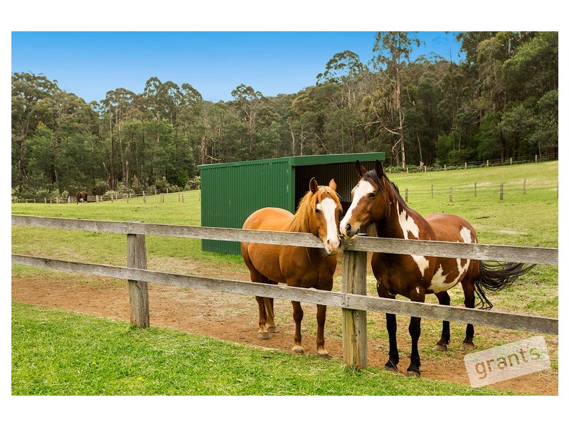 695 Beenak East Road, Gembrook VIC 3783