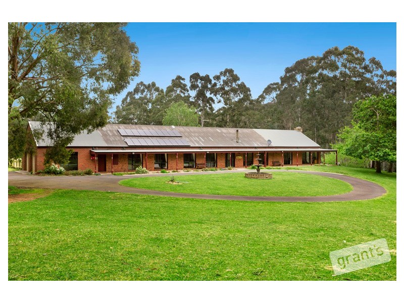 695 Beenak East Road, Gembrook VIC 3783