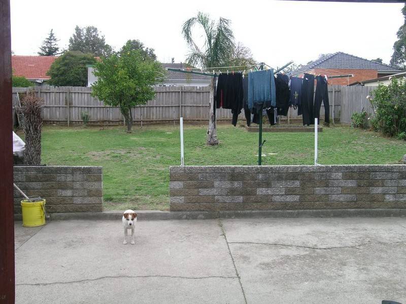 23 Jellicoe Street, Noble Park VIC 3174