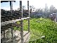 74 Liege Avenue, Noble Park VIC 3174