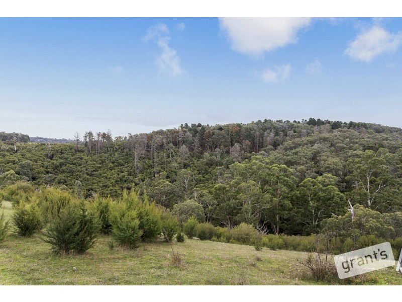 541 Henley Road, Bend Of Islands VIC 3097