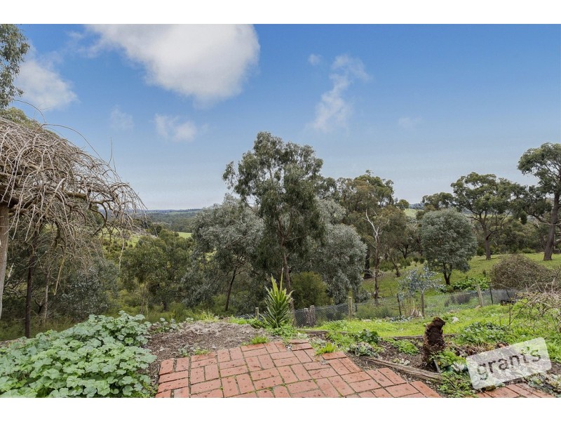 541 Henley Road, Bend Of Islands VIC 3097