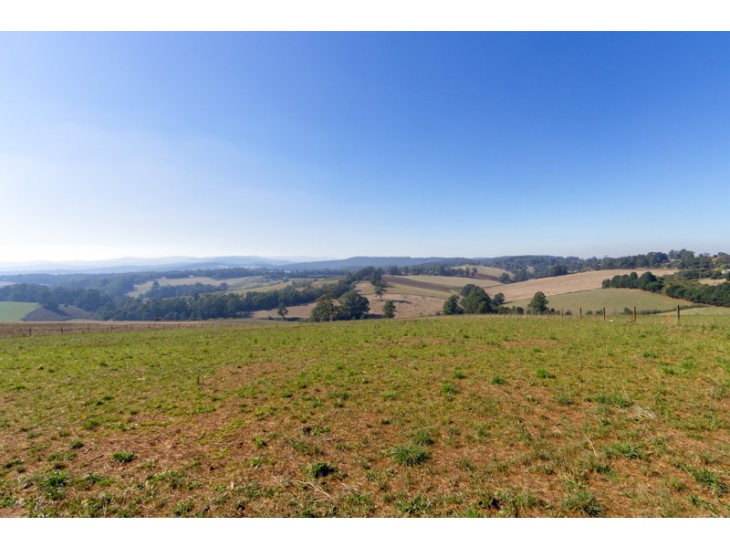 50 Ure Road, Gembrook VIC 3783