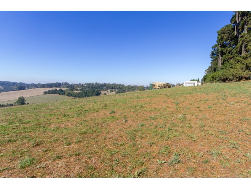 50 Ure Road, Gembrook VIC 3783