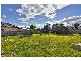 17 Loller Street, Springvale VIC 3171