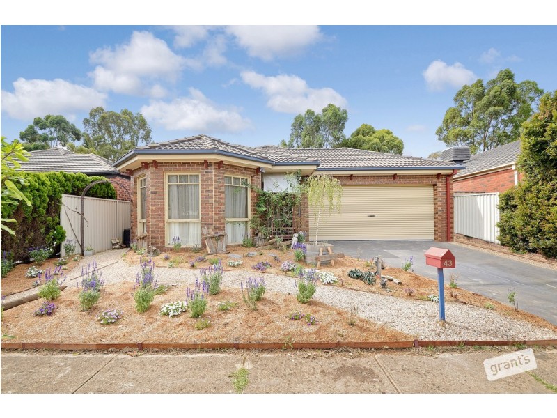 43 Spring Circuit, Pakenham VIC 3810