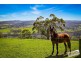 205 Huxtable Road, Pakenham Upper VIC 3810