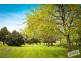 155 Forest Road, Labertouche VIC 3816