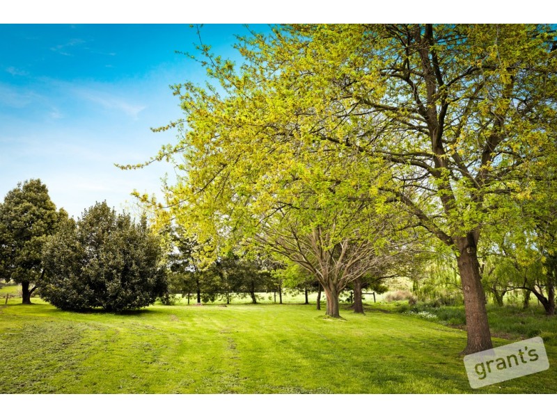 155 Forest Road, Labertouche VIC 3816