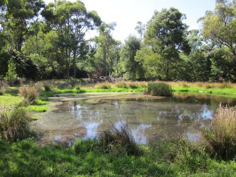 10 Crosby Road, Pakenham Upper VIC 3810