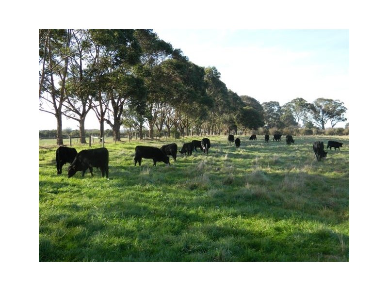 870 Cardinia Road, Cardinia VIC 3978