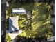 23 Home Road, Nar Nar Goon VIC 3812