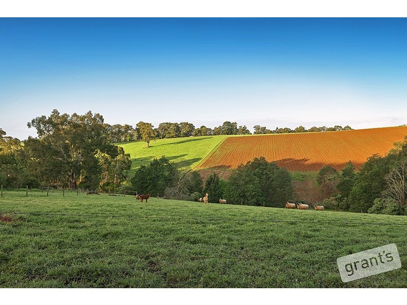 26 Le Souef Road, Gembrook VIC 3783