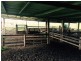 475 Inverloch Outtrim Road, Outtrim VIC 3951