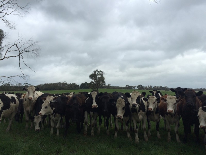 475 Inverloch Outtrim Road, Outtrim VIC 3951