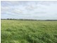 495 Outtrim Inverloch Road, Outtrim VIC 3951