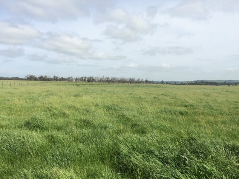 495 Outtrim Inverloch Road, Outtrim VIC 3951
