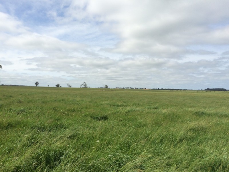495 Outtrim Inverloch Road, Outtrim VIC 3951