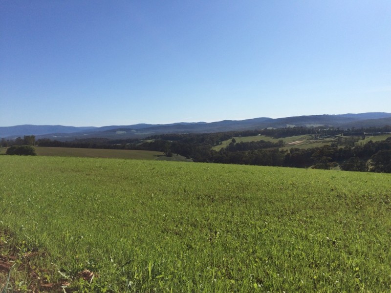 50 Ure Road, Gembrook VIC 3783